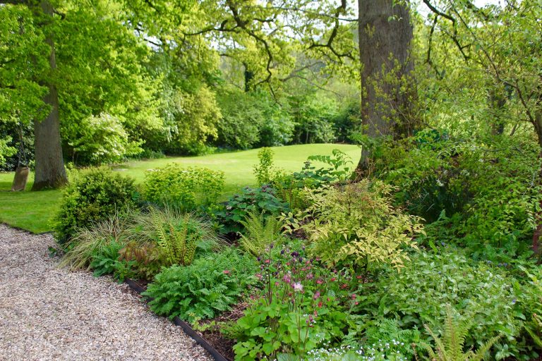 Hampshire Woodland